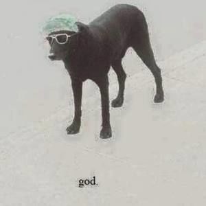 Meet your Posher, Jesse